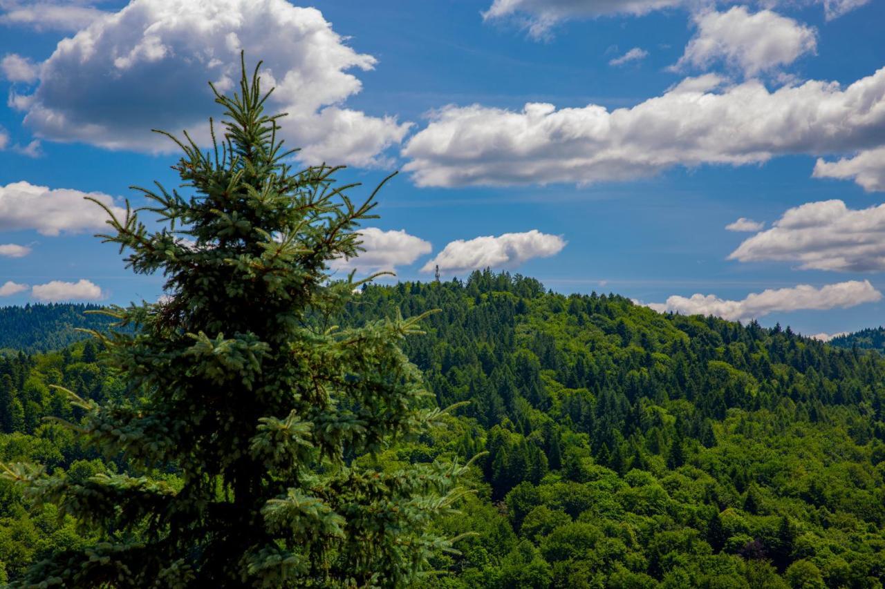 Sun & Sport Apartamenty Krynica-Zdroj Екстер'єр фото